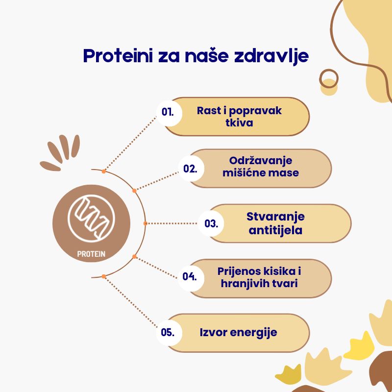 (Chorvatština) (Čeština) (Slovenčina)